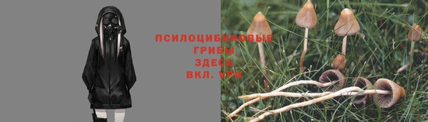 МДПВ Приозерск
