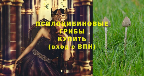 гидра Пролетарск