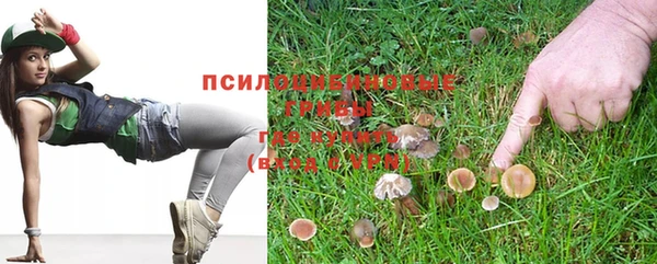 МДПВ Приозерск